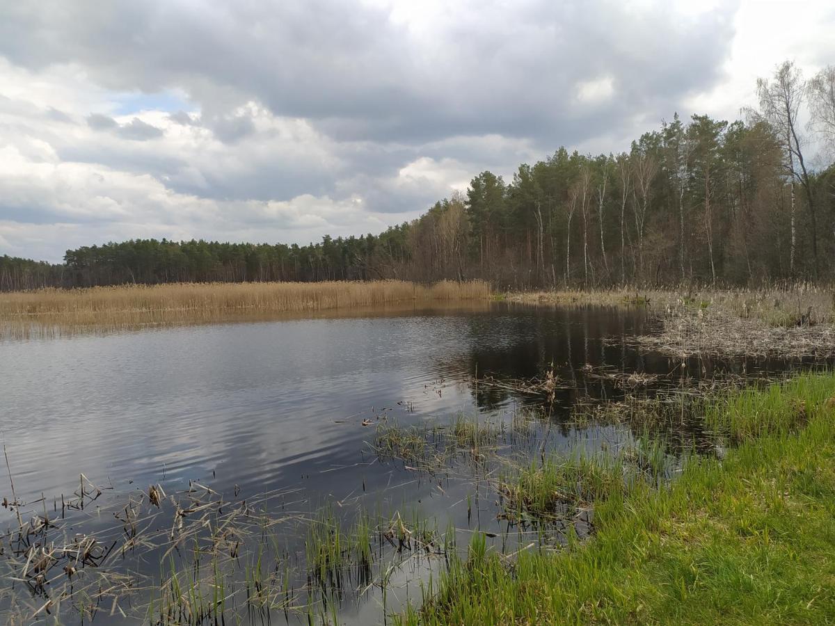 Gajowka Zlobek Villa Zlobek  Bagian luar foto