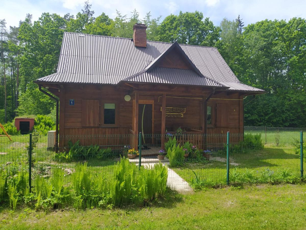 Gajowka Zlobek Villa Zlobek  Bagian luar foto